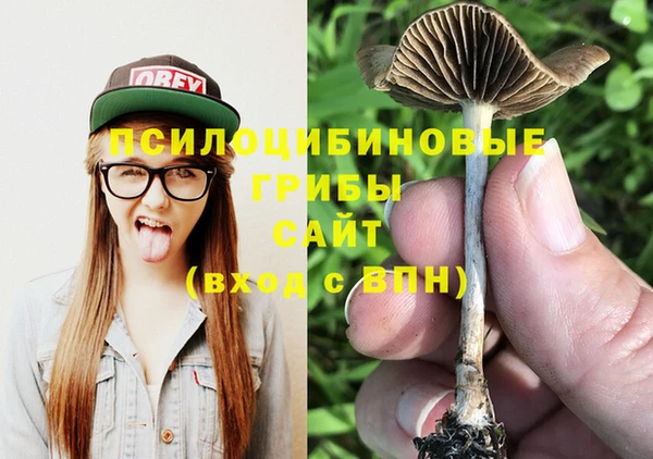 эйфоретик Киреевск