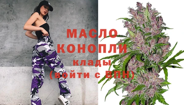 винт Каменка