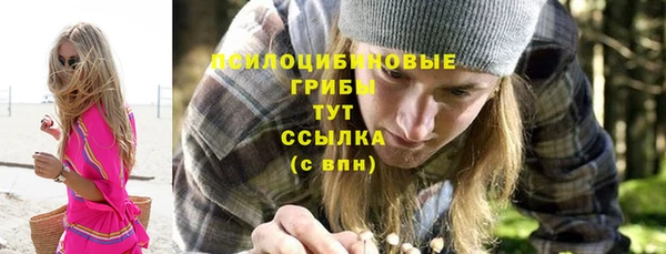индика Переславль-Залесский